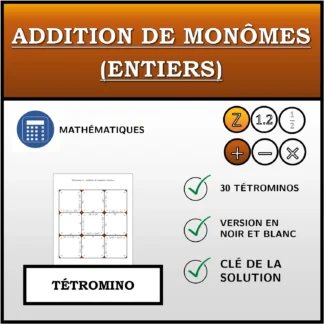 Tétromino: Addition de monômes (entiers)