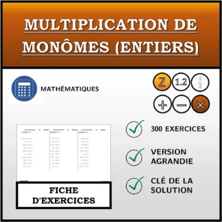Fiche d'exercices: Multiplication de monômes (entiers)