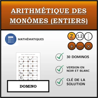 Domino: Arithmétique des monômes (entiers)
