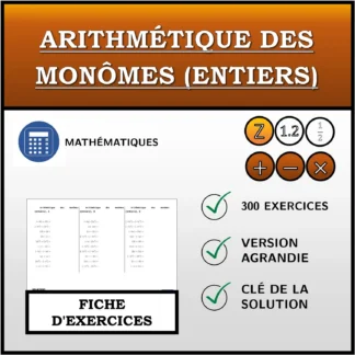 Fiche d'exercices: Arithmétique des monômes (entiers)