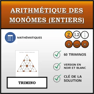 Trimino: Arithmétique des monômes (entiers)