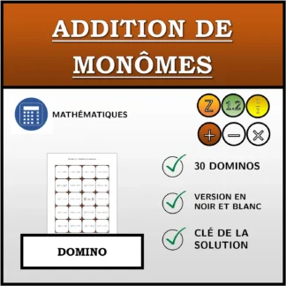 Domino: Addition de monômes
