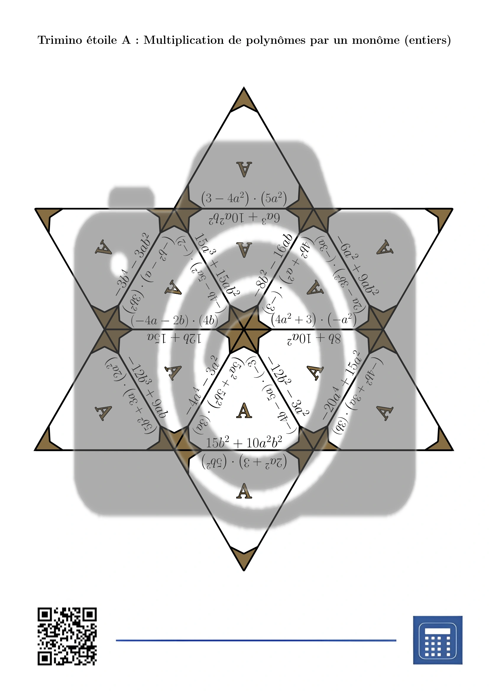 Trimino: Multiplication de polynômes par un monôme (entiers) – Image 4