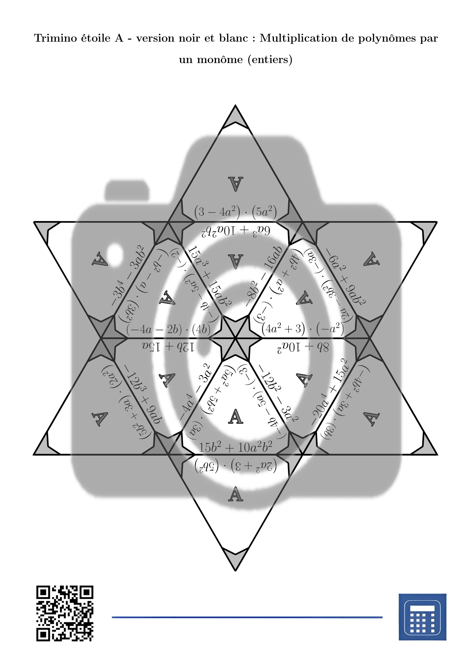 Trimino: Multiplication de polynômes par un monôme (entiers) – Image 5