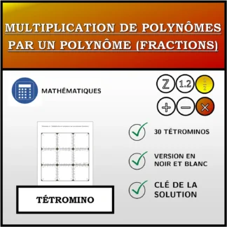 Tétromino: Multiplication de polynômes par un polynôme (fractions)