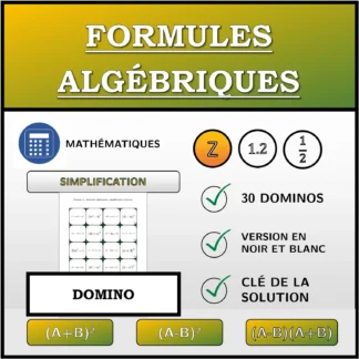 Domino: Formules algébriques, simplification (entiers)