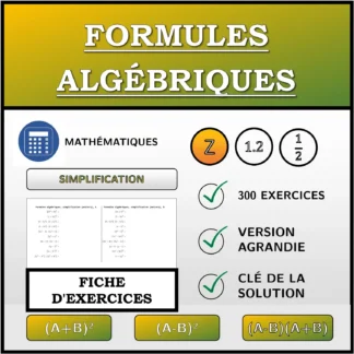 Fiche d'exercices: Formules algébriques, simplification (entiers)