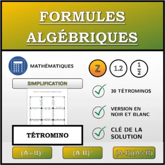 Tétromino: Formules algébriques, simplification (entiers)