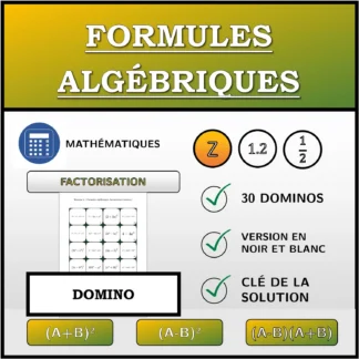 Domino: Formules algébriques, factorisation (entiers)