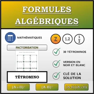 Tétromino: Formules algébriques, factorisation (entiers)