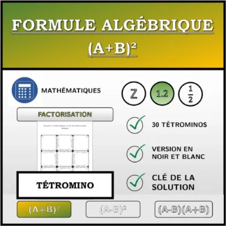Tétromino: Formule algébrique (A+B)², factorisation (nombres décimaux)