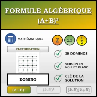 Domino: Formule algébrique (A+B)², factorisation (fractions)