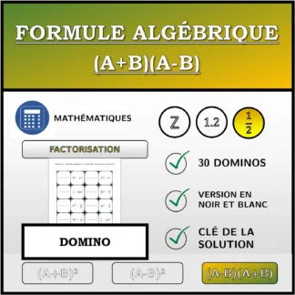 Domino: Formule algébrique (A+B)(A-B), factorisation (fractions)