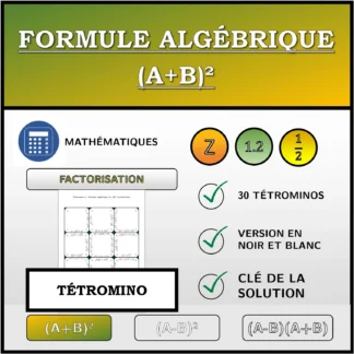 Tétromino: Formule algébrique (A+B)², factorisation
