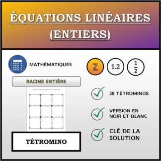 Tétromino: Équations linéaires (entiers), solution entière