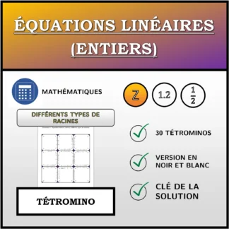 Tétromino: Équations linéaires (entiers), différents types de solutions