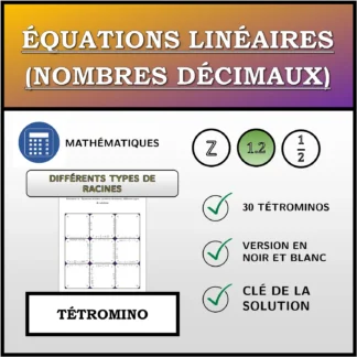 Tétromino: Équations linéaires (nombres décimaux), différents types de solutions