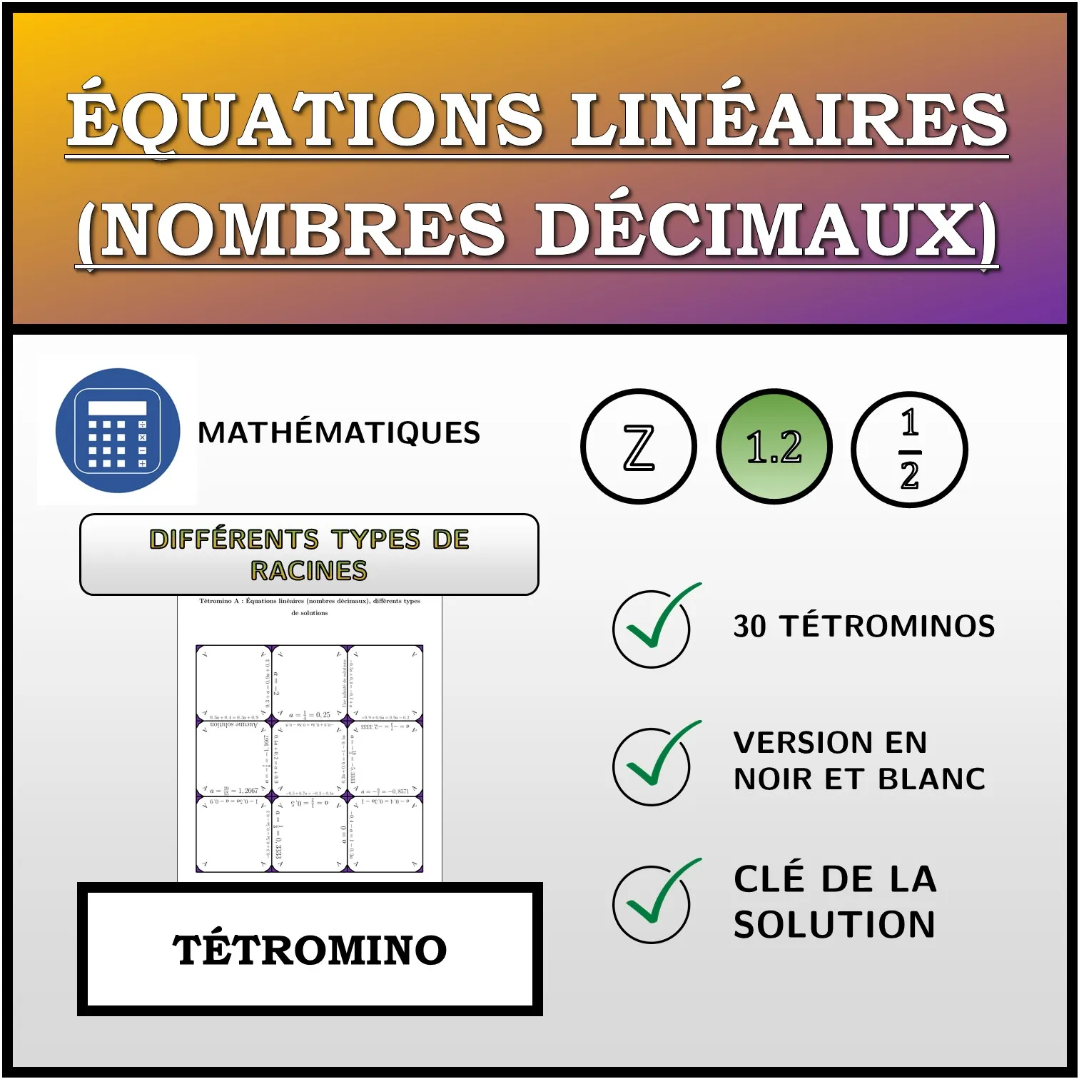 Tétromino: Équations linéaires (nombres décimaux), différents types de solutions