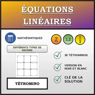 Tétromino: Équations linéaires, différents types de solutions