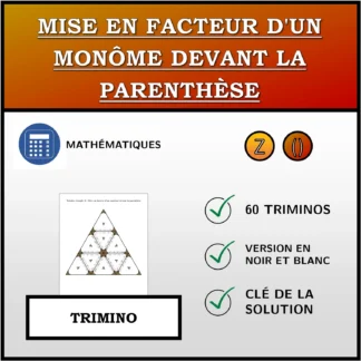 Trimino: Mise en facteur d'un monôme devant la parenthèse