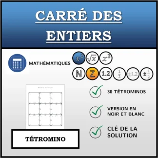 Tétromino: Carré des entiers
