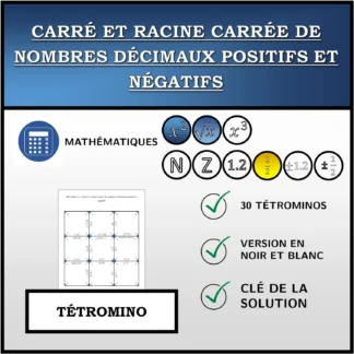 Tétromino: Carré et racine carrée de nombres décimaux positifs et négatifs